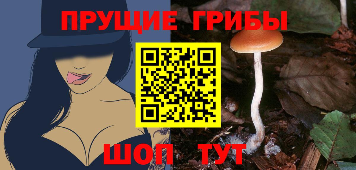 Галлюциногенные грибы Psilocybine cubensis  Вход с VPN  Людиново  где купить наркоту  Псилоцибиновые грибы Magic Shrooms 